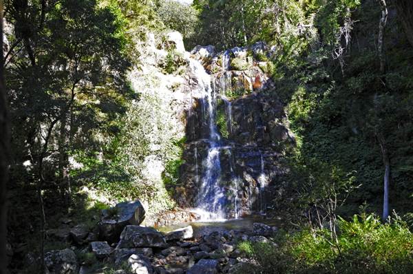 Minnamurra Falls (7/03/2013 11:43:25 PM)