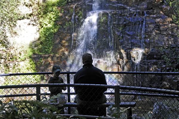 Minnamurra Falls (7/03/2013 11:44:13 PM)