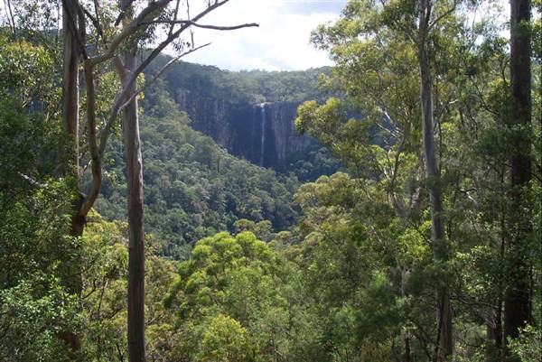 Minyon Falls - Nightcap National Park (7/03/2013 11:52:21 PM)