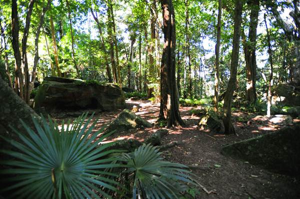 Mount Keira Scout Camp File 1 (8/03/2013 10:05:02 AM)