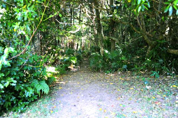 Mount Keira Scout Camp File 1 (8/03/2013 10:05:22 AM)