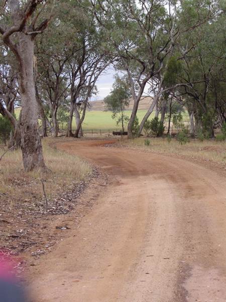 Paddys Creek Rd, Dubbo (8/03/2013 12:20:48 PM)