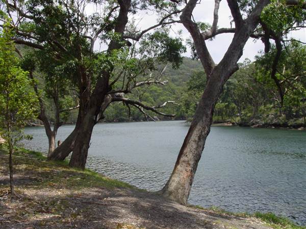 Royal National Park (8/03/2013 1:39:53 PM)