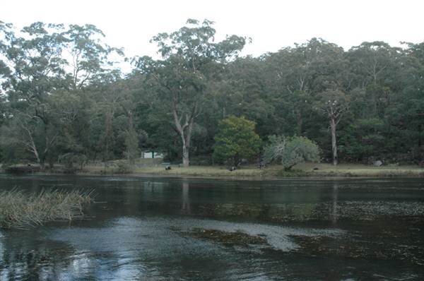 Royal National Park (8/03/2013 1:41:40 PM)