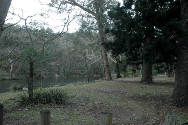 Royal National Park (8/03/2013 1:42:08 PM)