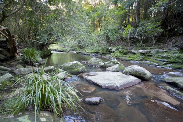 Royal National Park (8/03/2013 1:42:43 PM)