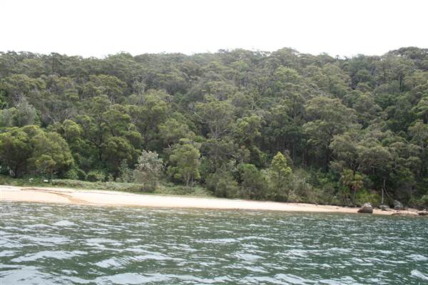 Portuguese Beach (8/03/2013 2:56:08 PM)