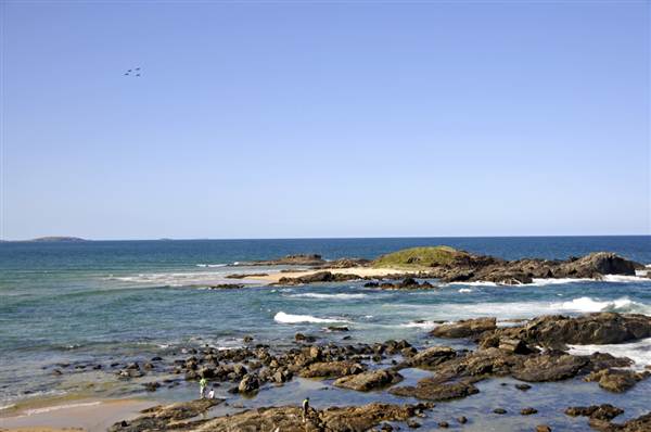 Sawtell (8/03/2013 3:01:17 PM)