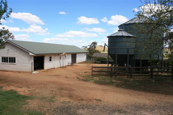 Petersons Armidale Winery & Guesthouse (9/03/2013 1:09:52 AM)