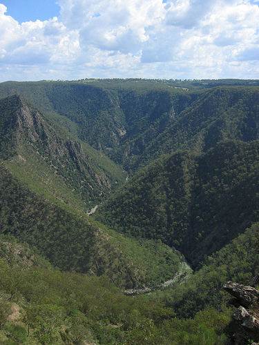 Wollomombi Gorge (9/03/2013 1:31:58 AM)