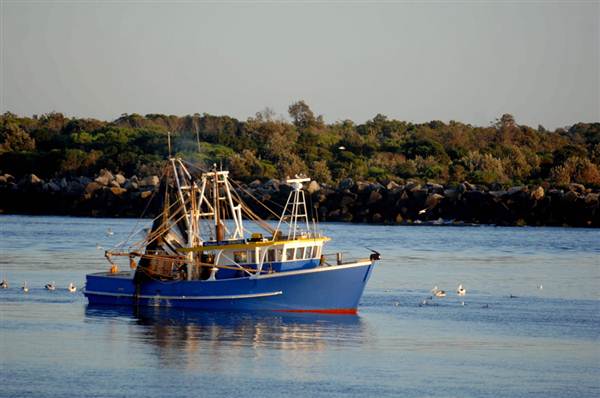 Yamba (9/03/2013 2:54:06 AM)