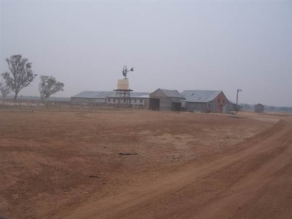 Sheaffes Shearing Shed (9/03/2013 3:05:46 AM)