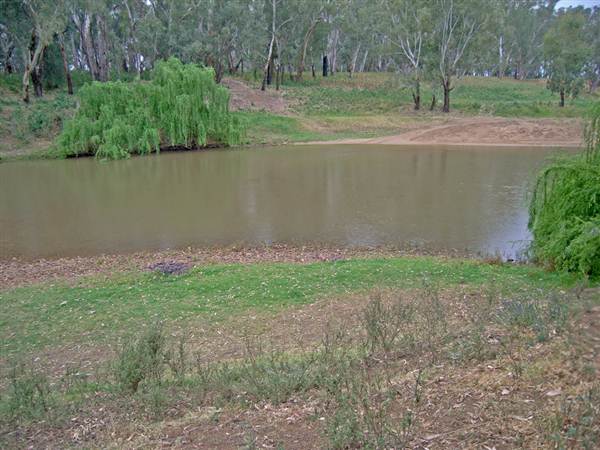 Whylandra Crossing, Dubbo (9/03/2013 11:18:30 AM)