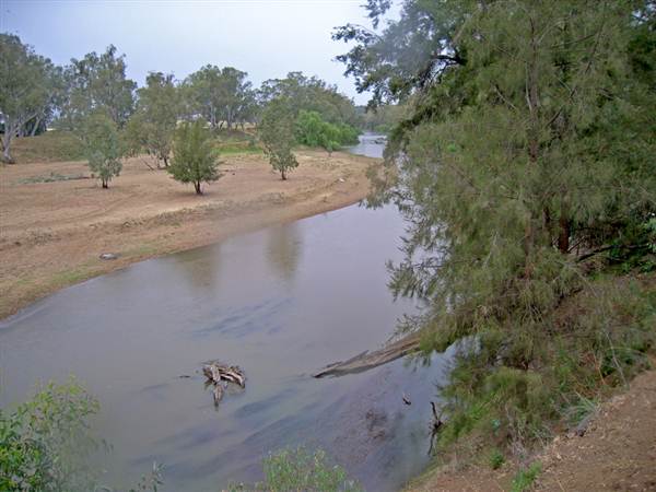 Whylandra Crossing, Dubbo (9/03/2013 11:18:48 AM)