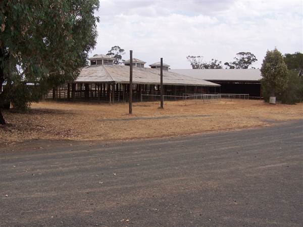 West Wyalong Racetrack and Showgrounds (9/03/2013 11:19:55 AM)