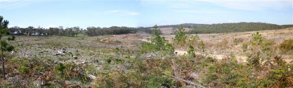Penrose State Forest - Southern Highlands (9/03/2013 8:03:56 PM)
