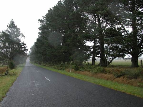 Robertson - Southern Highlands (9/03/2013 8:10:28 PM)