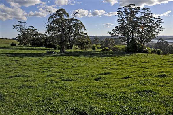 Robertson - Southern Highlands (9/03/2013 8:13:49 PM)