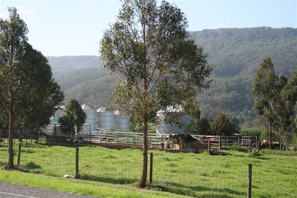 Tullimbar Village (9/03/2013 10:15:40 PM)