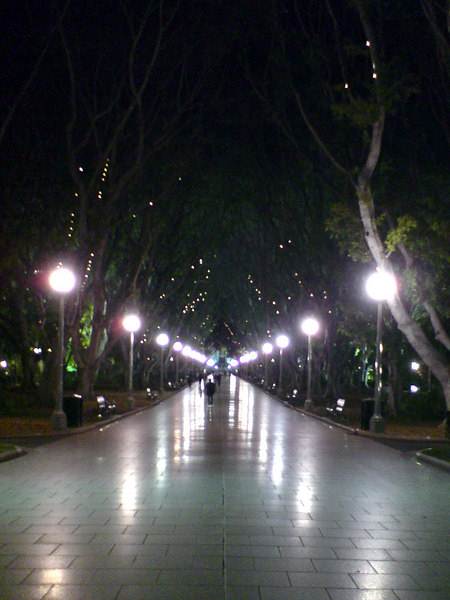 Sydney at Night (10/03/2013 3:14:31 PM)