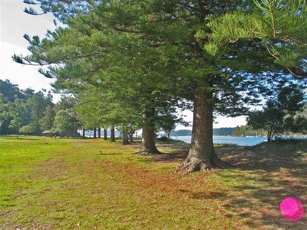 Currawong Beach Cottages & Basin Campground -  Ku-ring-gai Chase National Park (10/03/2013 9:46:40 PM)