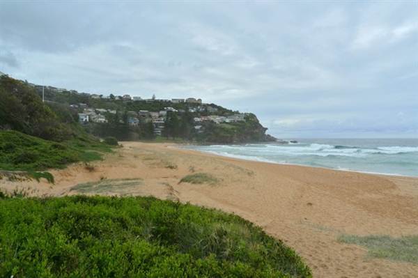 Whale Beach Mansions (11/03/2013 10:01:58 AM)