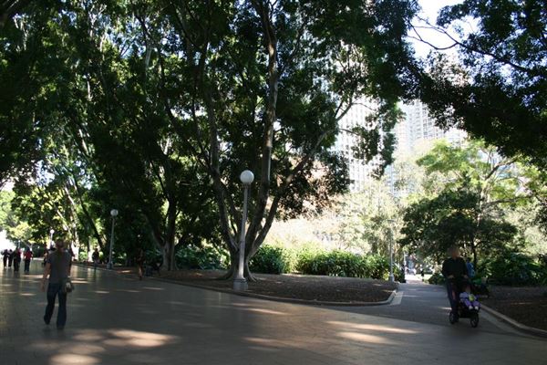 Hyde Park and Archibald Fountain - Sydney CBD (11/03/2013 1:09:29 PM)