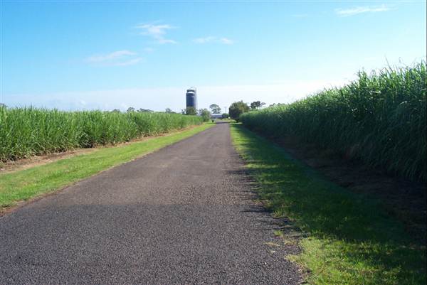 Riverbank Road (11/03/2013 1:15:06 PM)