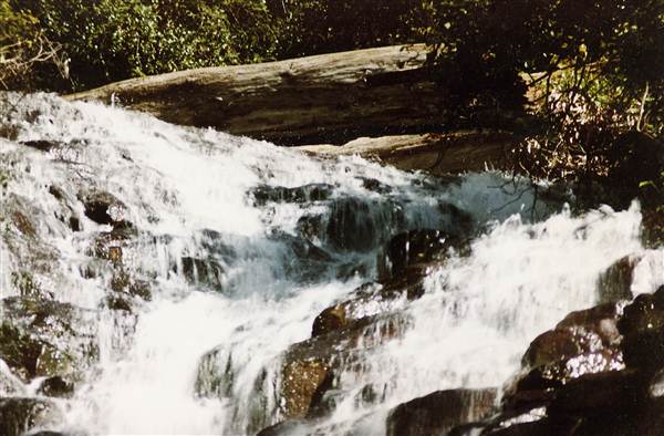 Tristania Falls - Dorrigo National Park (11/03/2013 2:56:01 PM)