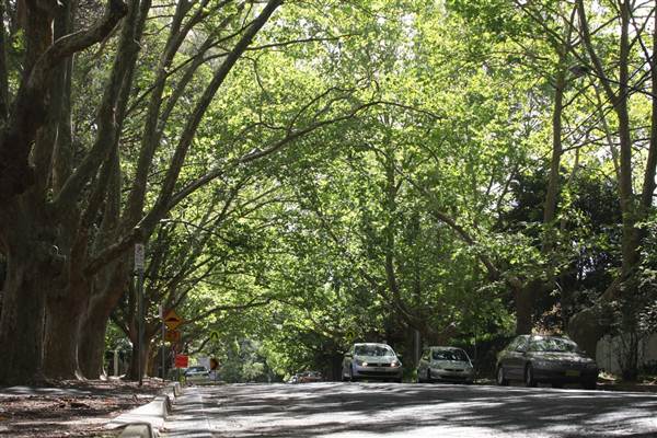 Water St - Pymble (13/03/2013)