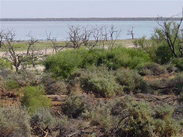 Broken Hill (24/04/2013)