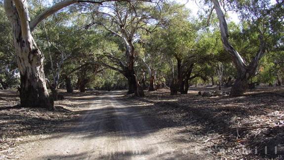 Broken Hill (24/04/2013)
