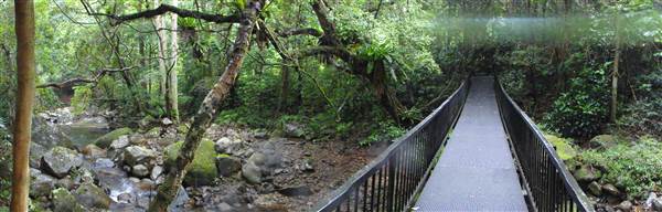 Minnamurra Rainforest Walk (28/02/2011 - Credits: Tony Brown/SISE)