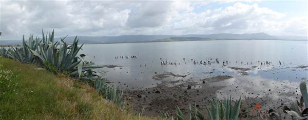 Lake Illawarra South-Skiway Park - Skiway Park & Moureendah Bay area (15/09/2011 - Credits: Tony Brown /SISE)