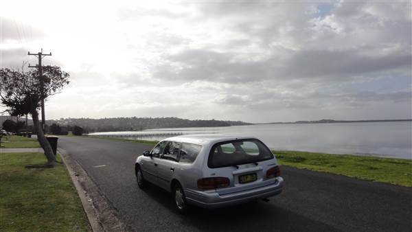 Lake Illawarra North-Holborn Park (15/09/2011 - Credits: Tony Brown /SISE)