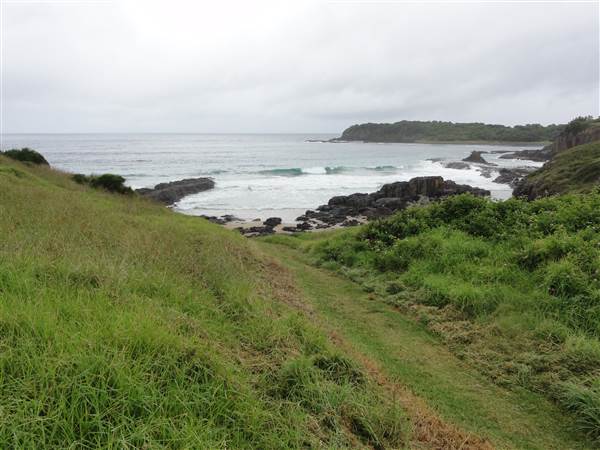 Bombo (28/02/2011 - Credits: Tony Brown /SISE)