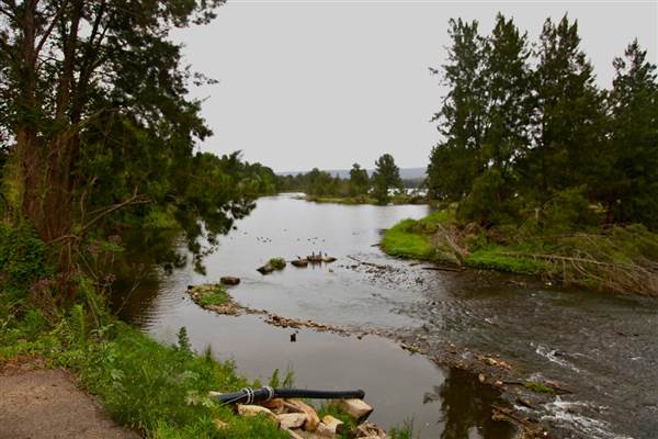 Yarramundi Reserve (17/07/2013)