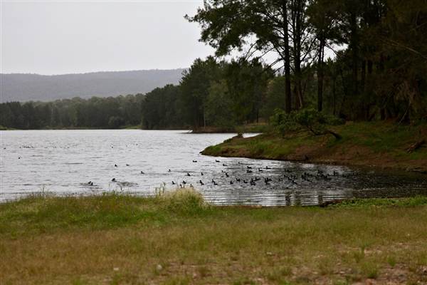 Yarramundi Reserve (17/07/2013)