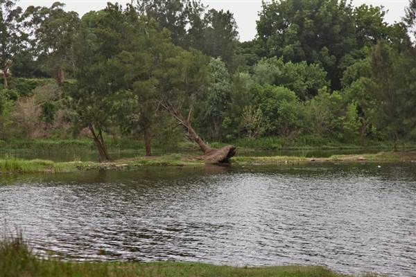 Yarramundi Reserve (17/07/2013)