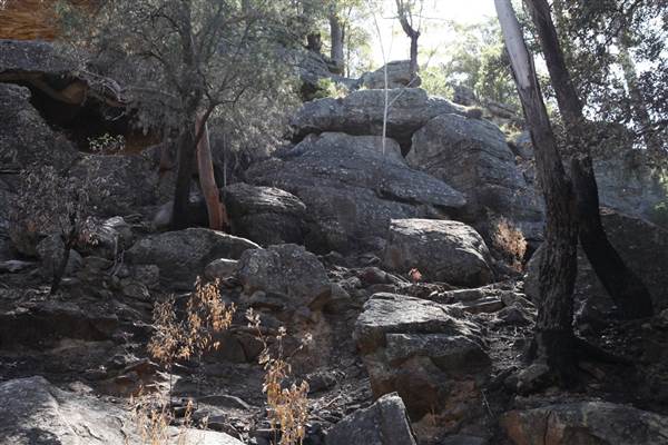 Georges River Nature Reserve (17/07/2013)