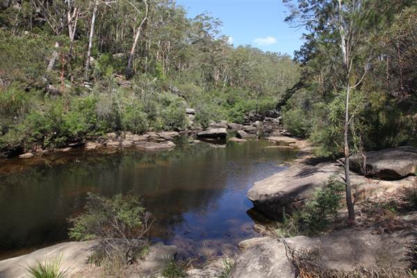 Georges River Nature Reserve (17/07/2013)
