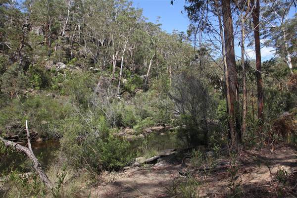 Georges River Nature Reserve (17/07/2013)