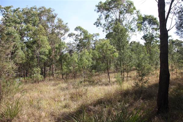 Georges River Nature Reserve (17/07/2013)