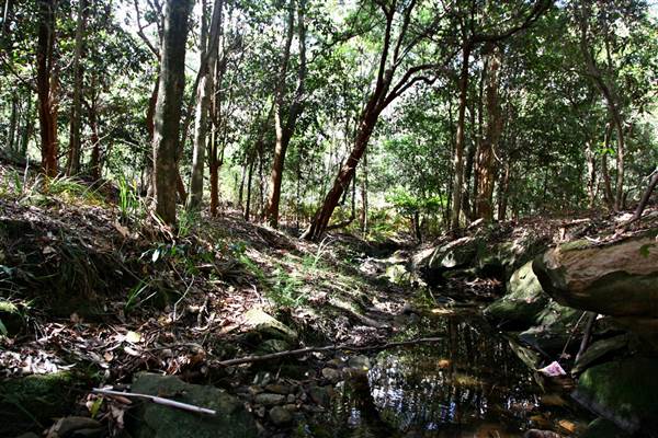 Warraroon Reserve (17/07/2013)