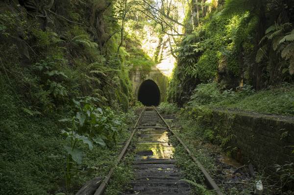 Helensburgh Tunnel (19/07/2013 - Credits: Chris Reynolds)