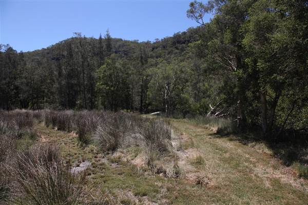 Bushland Creek (28/11/2013)