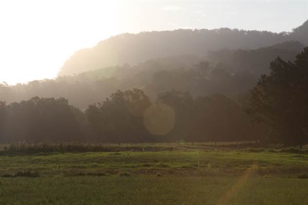 Kangaroo valley (28/11/2013)