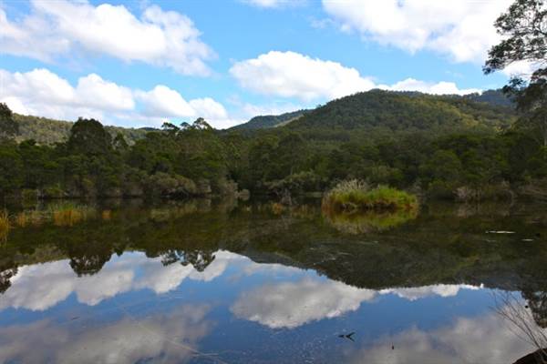 Kangaroo valley (28/11/2013)