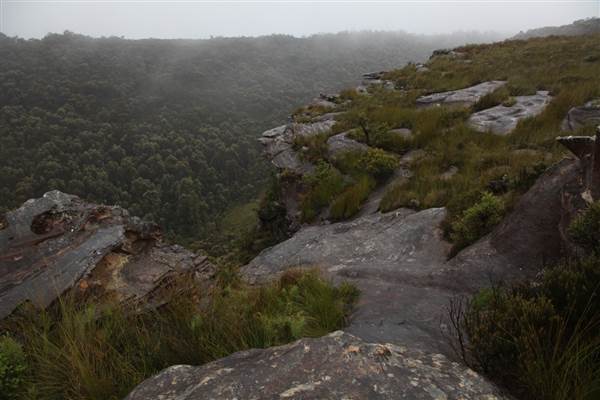 Mt Banks (28/11/2013)