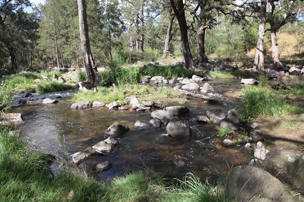 Coxs River - Glenroy Cabins and Camp Ground - Canon 5D (13/12/2012 - Credits: Luke Torrevillas)